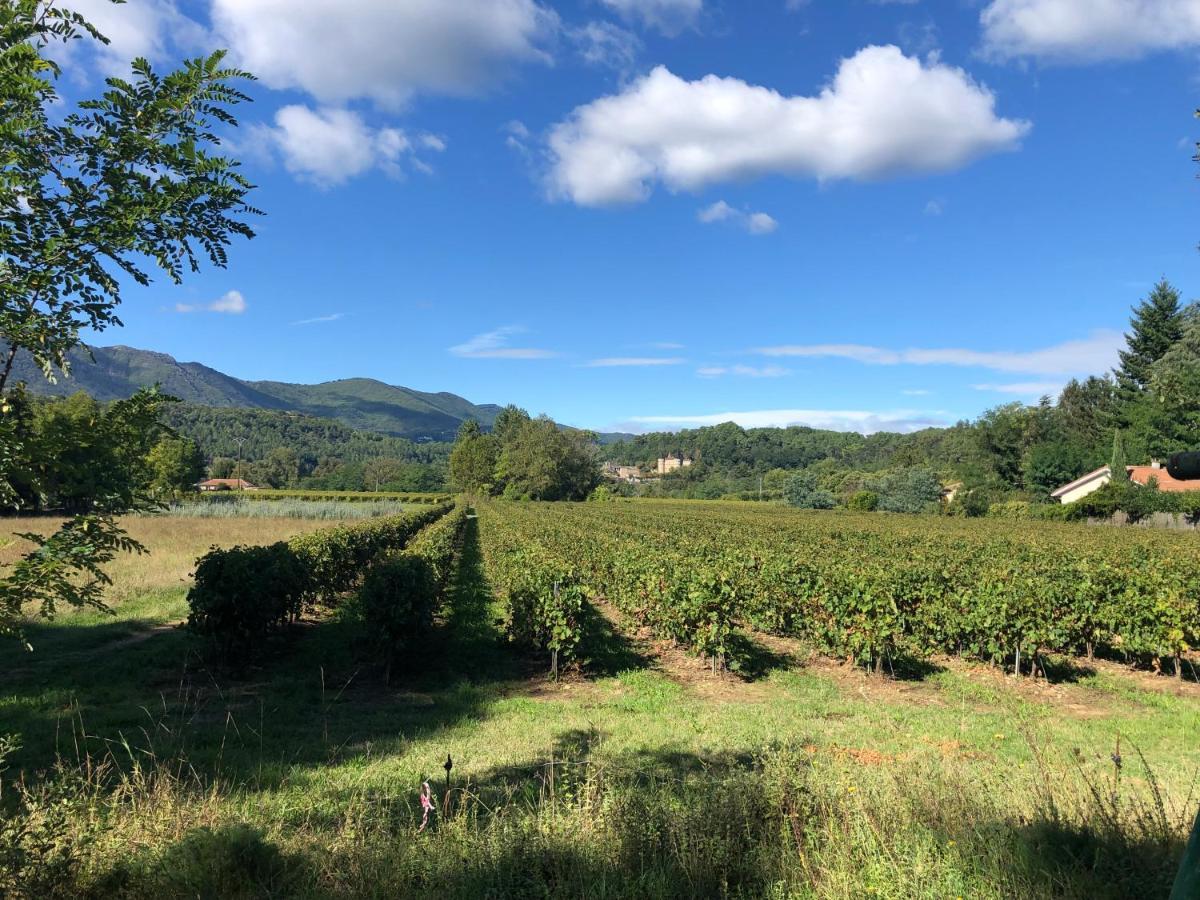 Terres De France - Le Domaine Des Vans Chambonas Eksteriør billede