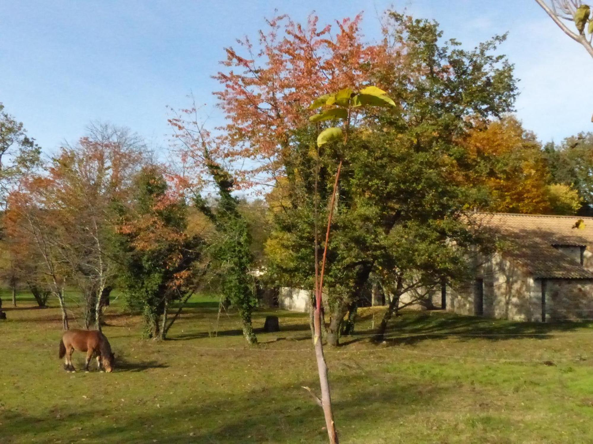 Terres De France - Le Domaine Des Vans Chambonas Eksteriør billede
