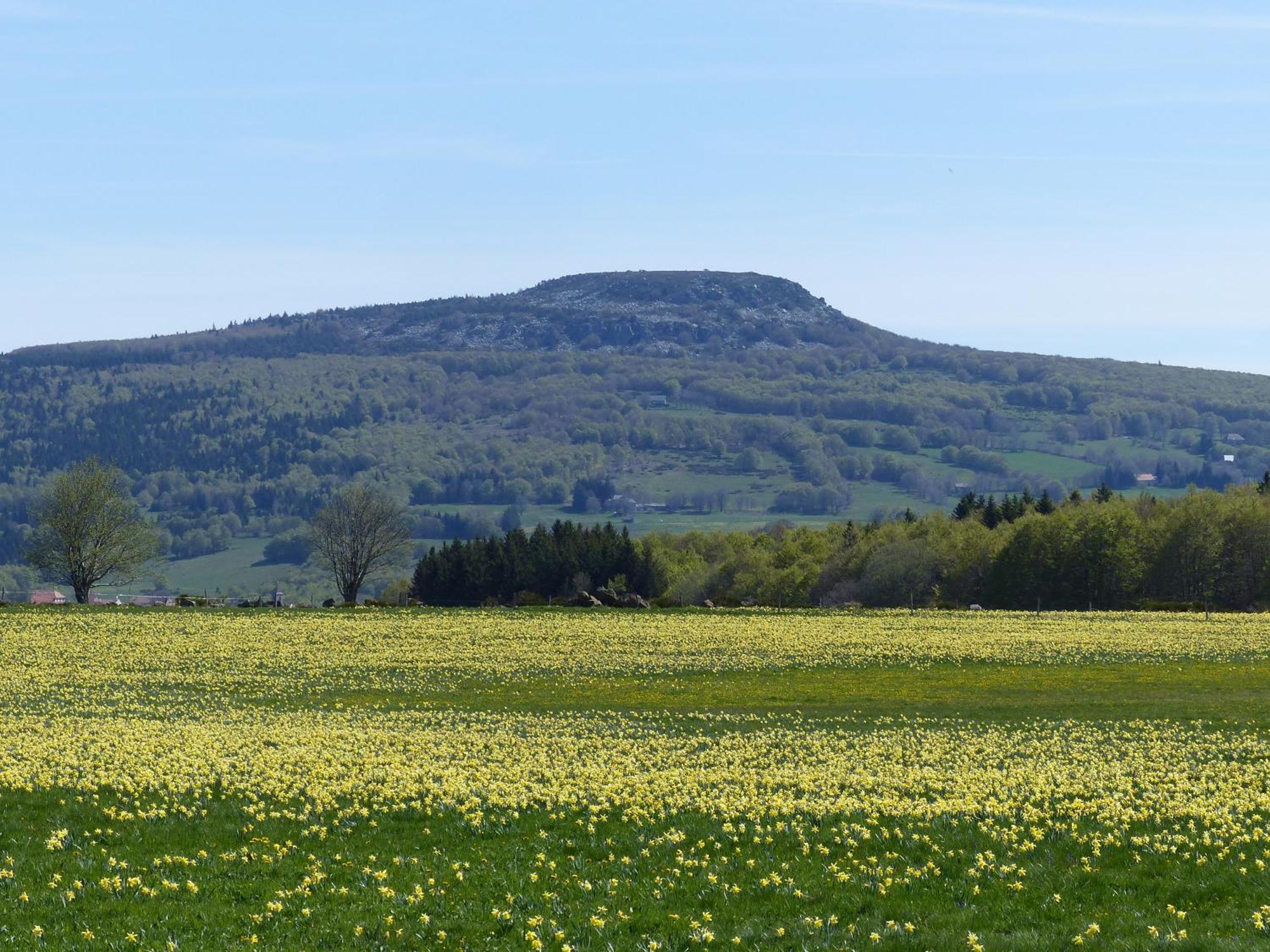 Terres De France - Le Domaine Des Vans Chambonas Eksteriør billede
