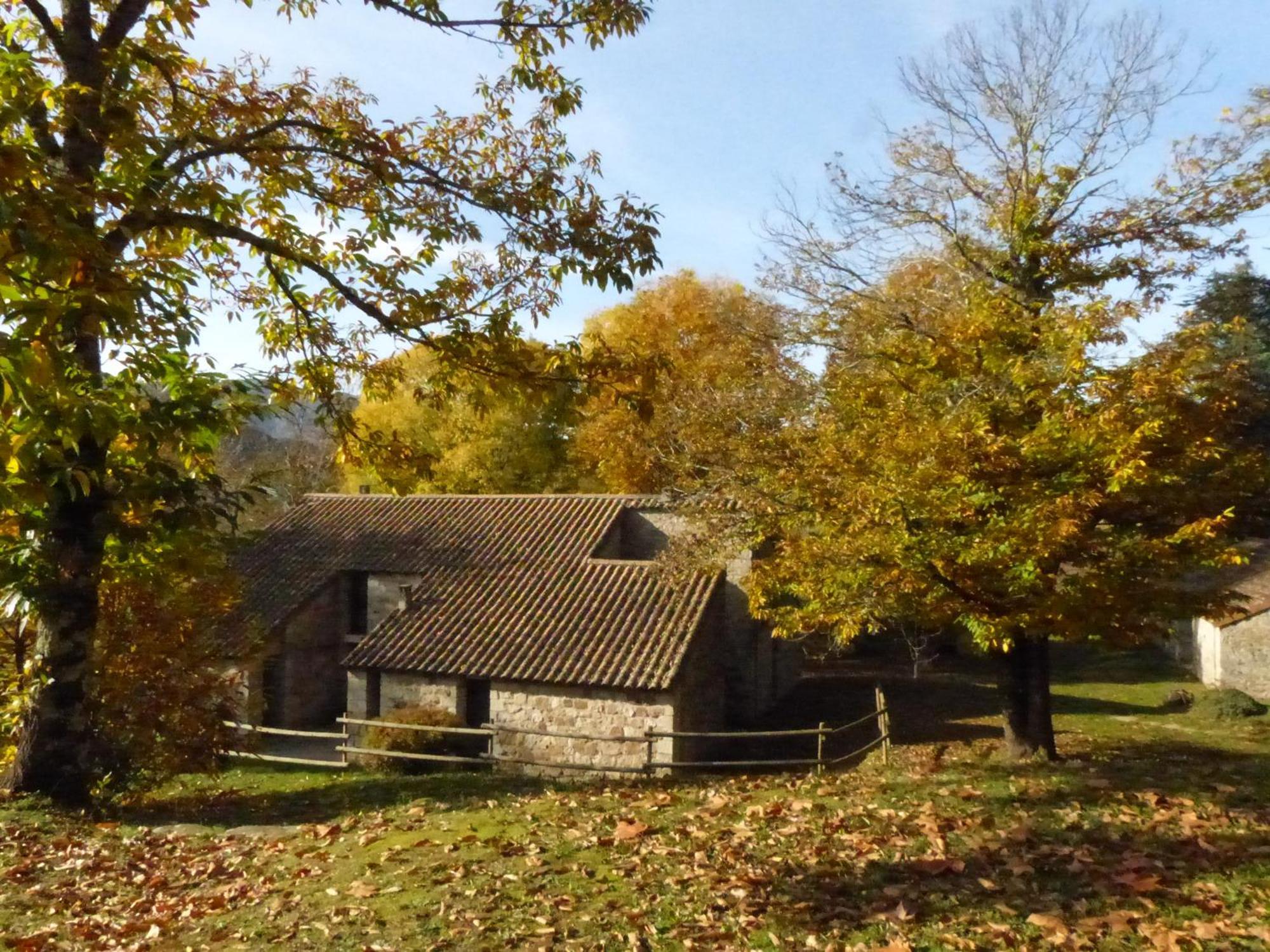 Terres De France - Le Domaine Des Vans Chambonas Eksteriør billede